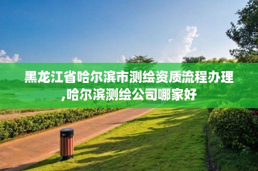 黑龙江省哈尔滨市测绘资质流程办理,哈尔滨测绘公司哪家好