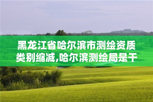 黑龙江省哈尔滨市测绘资质类别缩减,哈尔滨测绘局是干什么的