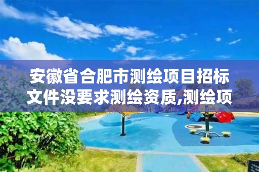 安徽省合肥市测绘项目招标文件没要求测绘资质,测绘项目招标公告