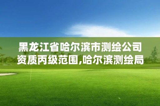 黑龙江省哈尔滨市测绘公司资质丙级范围,哈尔滨测绘局幼儿园是民办还是公办