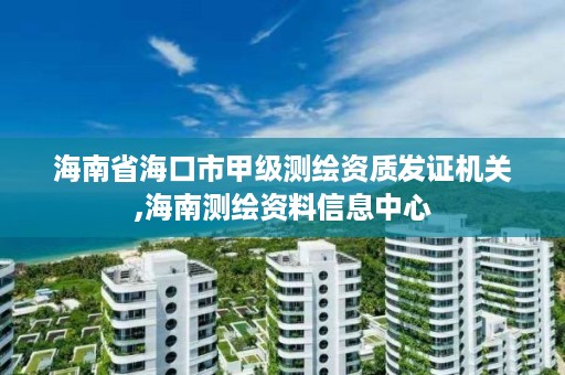 海南省海口市甲级测绘资质发证机关,海南测绘资料信息中心