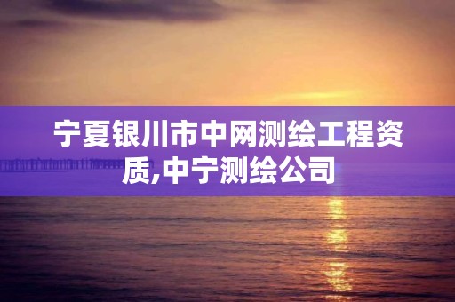 宁夏银川市中网测绘工程资质,中宁测绘公司