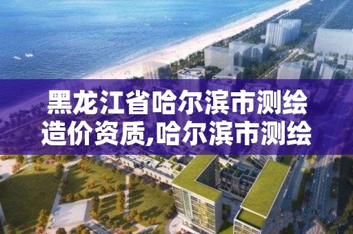 黑龙江省哈尔滨市测绘造价资质,哈尔滨市测绘公司