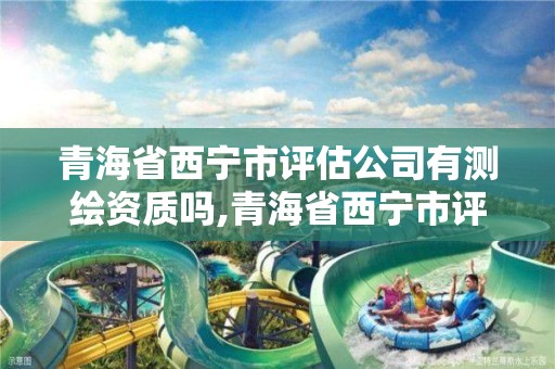 青海省西宁市评估公司有测绘资质吗,青海省西宁市评估公司有测绘资质吗在哪里