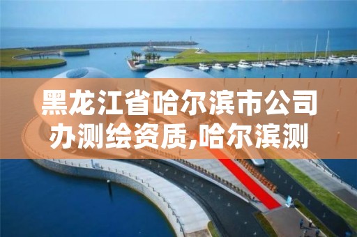 黑龙江省哈尔滨市公司办测绘资质,哈尔滨测绘局幼儿园是民办还是公办