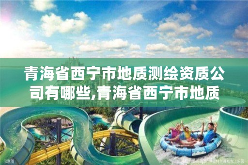 青海省西宁市地质测绘资质公司有哪些,青海省西宁市地质测绘资质公司有哪些单位