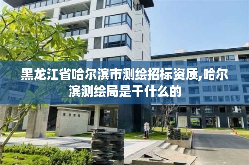 黑龙江省哈尔滨市测绘招标资质,哈尔滨测绘局是干什么的