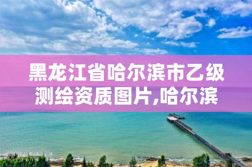 黑龙江省哈尔滨市乙级测绘资质图片,哈尔滨测绘地理信息局招聘公告