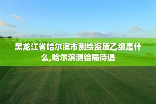 黑龙江省哈尔滨市测绘资质乙级是什么,哈尔滨测绘局待遇