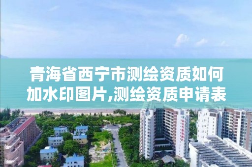 青海省西宁市测绘资质如何加水印图片,测绘资质申请表