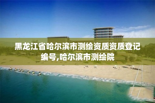 黑龙江省哈尔滨市测绘资质资质登记编号,哈尔滨市测绘院