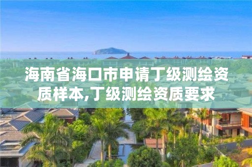 海南省海口市申请丁级测绘资质样本,丁级测绘资质要求