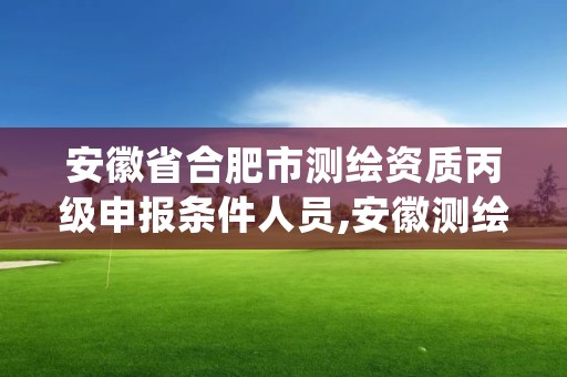 安徽省合肥市测绘资质丙级申报条件人员,安徽测绘资质查询系统