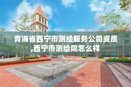 青海省西宁市测绘服务公司资质,西宁市测绘院怎么样