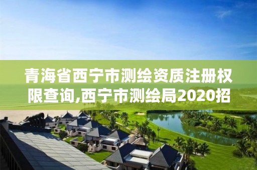 青海省西宁市测绘资质注册权限查询,西宁市测绘局2020招聘