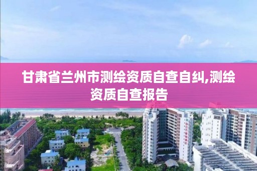 甘肃省兰州市测绘资质自查自纠,测绘资质自查报告