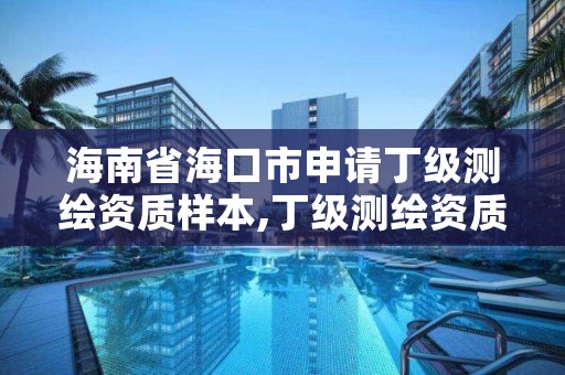 海南省海口市申请丁级测绘资质样本,丁级测绘资质申请需要什么仪器