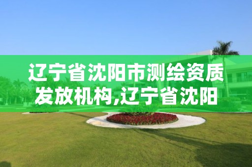 辽宁省沈阳市测绘资质发放机构,辽宁省沈阳市测绘资质发放机构有哪些