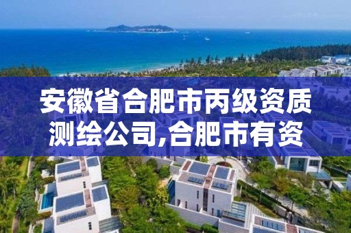 安徽省合肥市丙级资质测绘公司,合肥市有资质的测绘公司