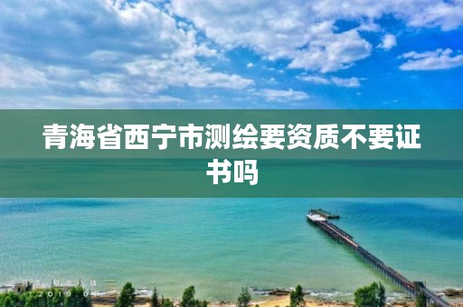 青海省西宁市测绘要资质不要证书吗