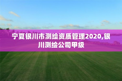 宁夏银川市测绘资质管理2020,银川测绘公司甲级