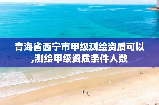 青海省西宁市甲级测绘资质可以,测绘甲级资质条件人数