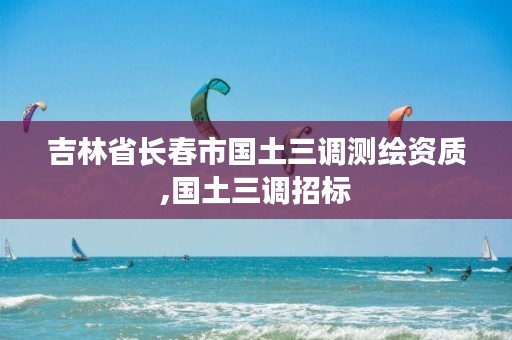 吉林省长春市国土三调测绘资质,国土三调招标