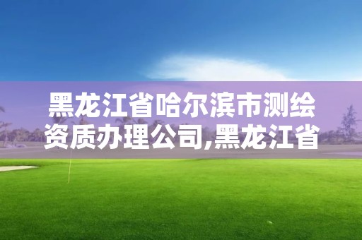 黑龙江省哈尔滨市测绘资质办理公司,黑龙江省哈尔滨市测绘局