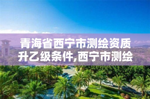 青海省西宁市测绘资质升乙级条件,西宁市测绘院改企业