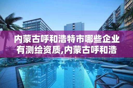 内蒙古呼和浩特市哪些企业有测绘资质,内蒙古呼和浩特市哪些企业有测绘资质的