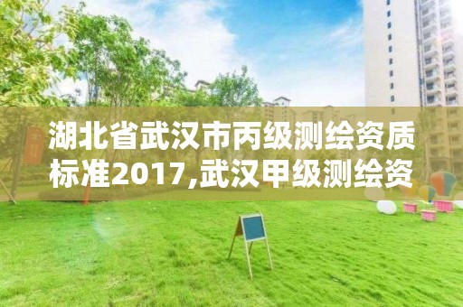 湖北省武汉市丙级测绘资质标准2017,武汉甲级测绘资质名录