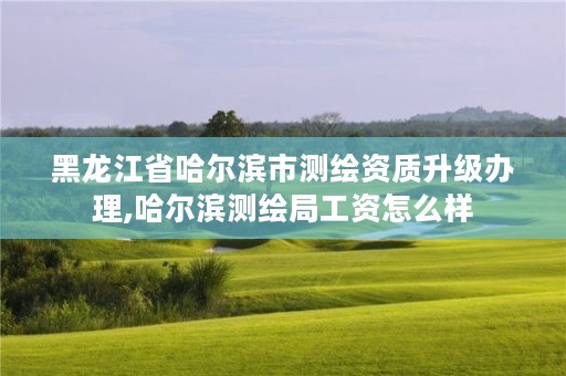 黑龙江省哈尔滨市测绘资质升级办理,哈尔滨测绘局工资怎么样