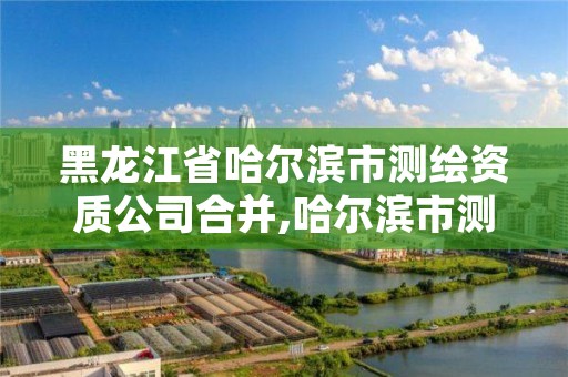 黑龙江省哈尔滨市测绘资质公司合并,哈尔滨市测绘院