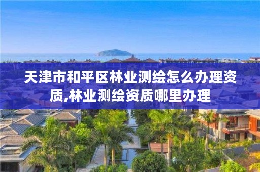 天津市和平区林业测绘怎么办理资质,林业测绘资质哪里办理