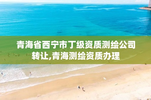 青海省西宁市丁级资质测绘公司转让,青海测绘资质办理