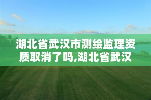 湖北省武汉市测绘监理资质取消了吗,湖北省武汉市测绘监理资质取消了吗