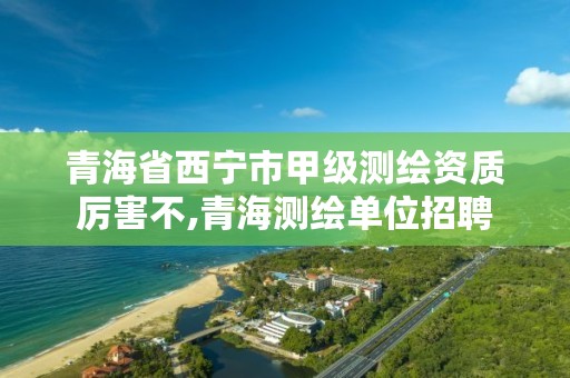 青海省西宁市甲级测绘资质厉害不,青海测绘单位招聘