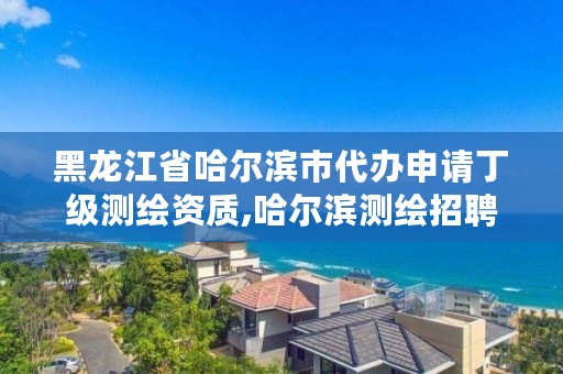 黑龙江省哈尔滨市代办申请丁级测绘资质,哈尔滨测绘招聘