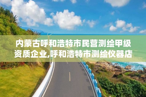 内蒙古呼和浩特市民营测绘甲级资质企业,呼和浩特市测绘仪器店