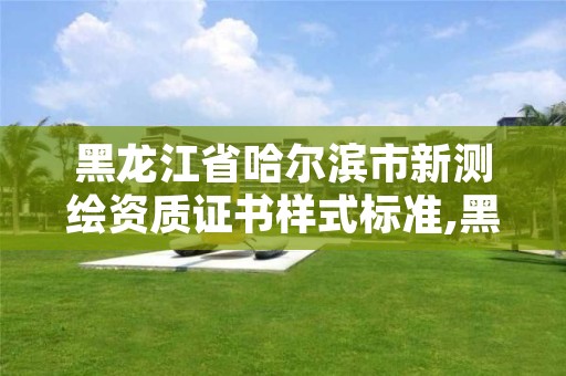 黑龙江省哈尔滨市新测绘资质证书样式标准,黑龙江测绘公司乙级资质