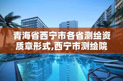 青海省西宁市各省测绘资质章形式,西宁市测绘院改企业