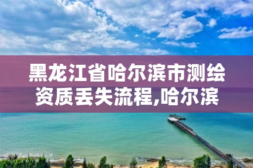 黑龙江省哈尔滨市测绘资质丢失流程,哈尔滨测绘地理信息局