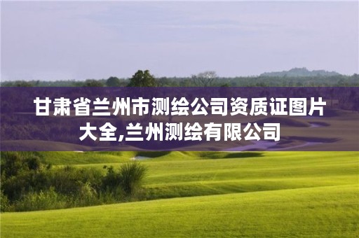 甘肃省兰州市测绘公司资质证图片大全,兰州测绘有限公司