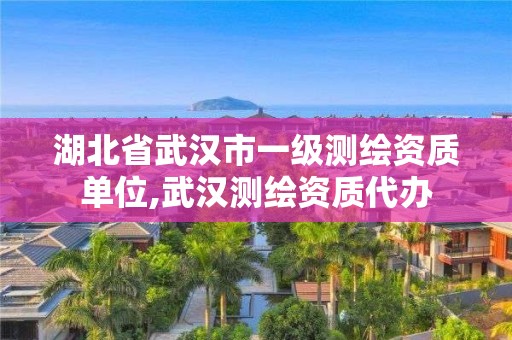 湖北省武汉市一级测绘资质单位,武汉测绘资质代办