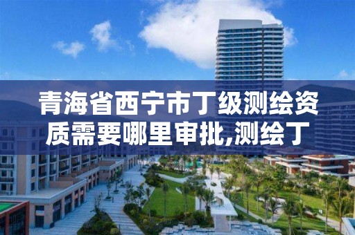 青海省西宁市丁级测绘资质需要哪里审批,测绘丁级资质全套申请文件