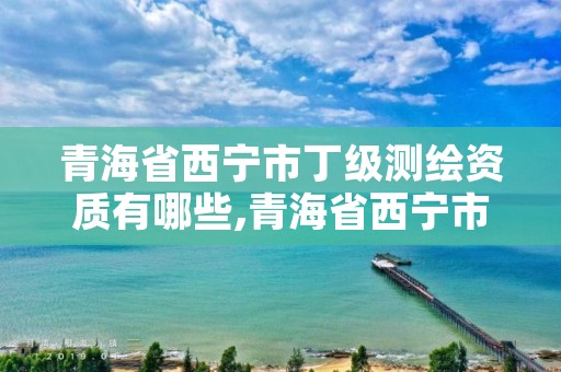 青海省西宁市丁级测绘资质有哪些,青海省西宁市丁级测绘资质有哪些单位