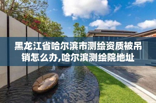 黑龙江省哈尔滨市测绘资质被吊销怎么办,哈尔滨测绘院地址