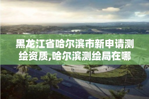 黑龙江省哈尔滨市新申请测绘资质,哈尔滨测绘局在哪