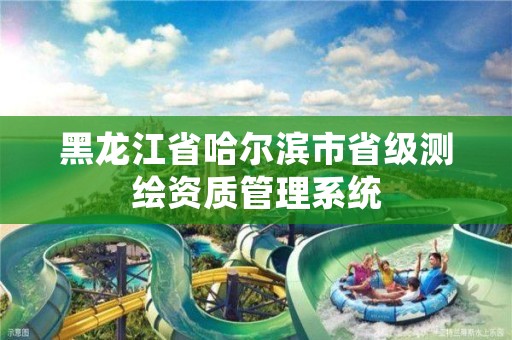 黑龙江省哈尔滨市省级测绘资质管理系统