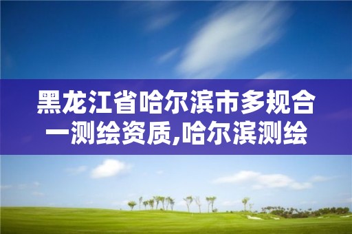 黑龙江省哈尔滨市多规合一测绘资质,哈尔滨测绘局幼儿园是民办还是公办